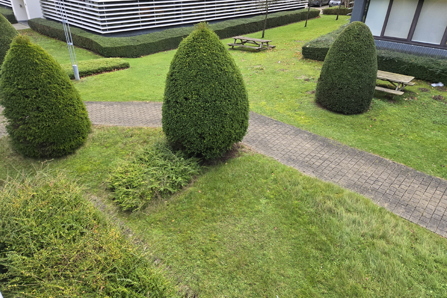 Campus Tuin